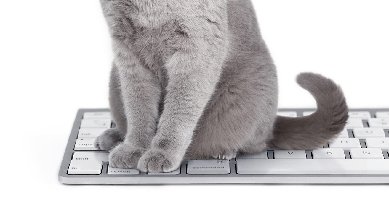 Pair Programming!
